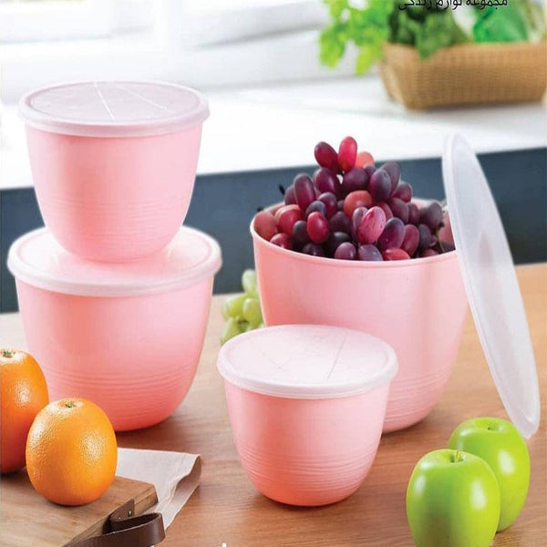 Tinker Food Storage Containers (4 pcs) - waseeh.com