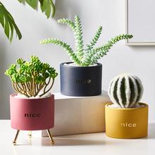 Hutch Pot Decor - waseeh.com