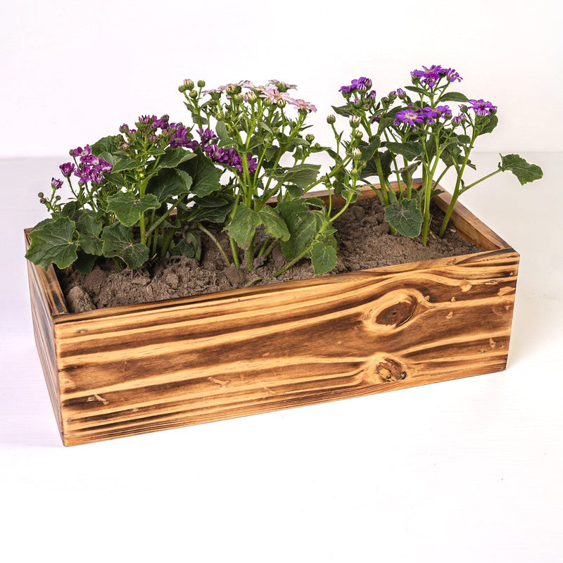 The Rancher Plant Pot Decor - waseeh.com