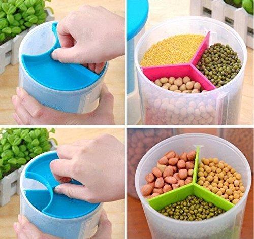 Transparent Pulse Container - waseeh.com