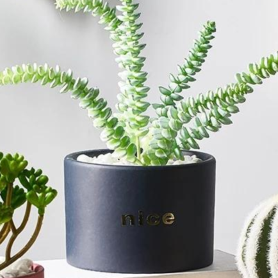 Hutch Pot Decor - waseeh.com