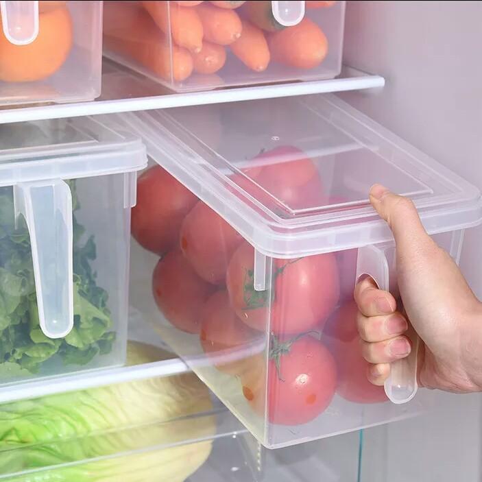 Storage Freezer Box with Handle - waseeh.com