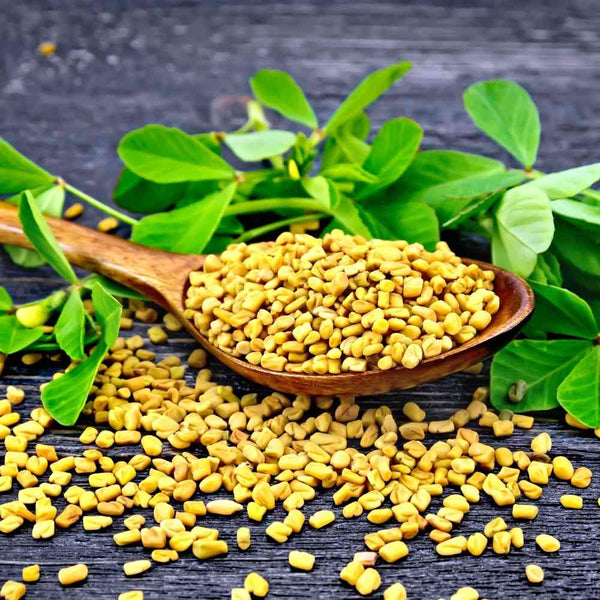 Vegetable Fenugreek Seeds