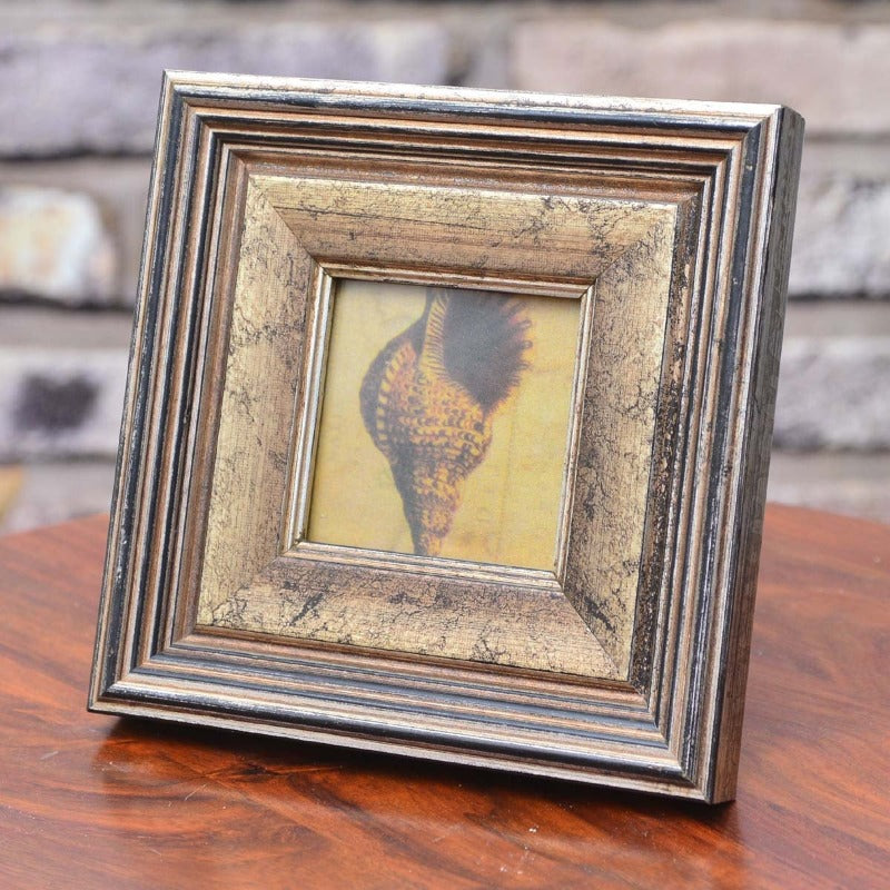 Fabulous Photo Frame Decor - waseeh.com