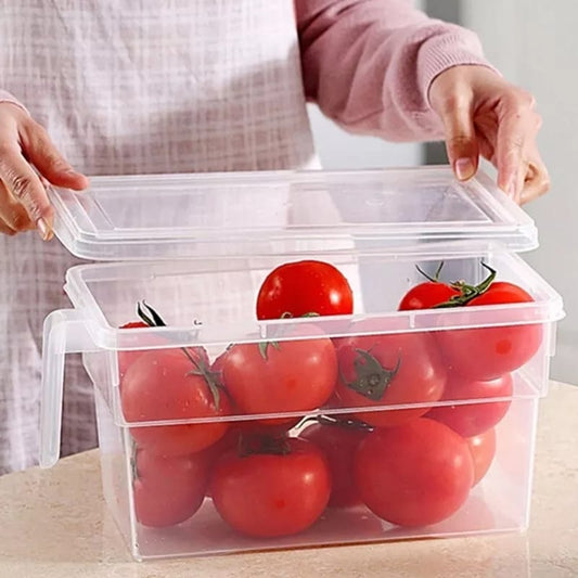 Storage Freezer Box with Handle - waseeh.com