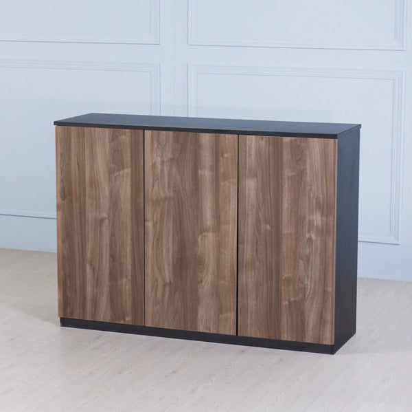 Closemat Office Home Cabinet - waseeh.com