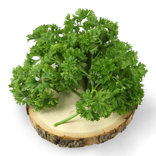 Parsley F1 Seeds