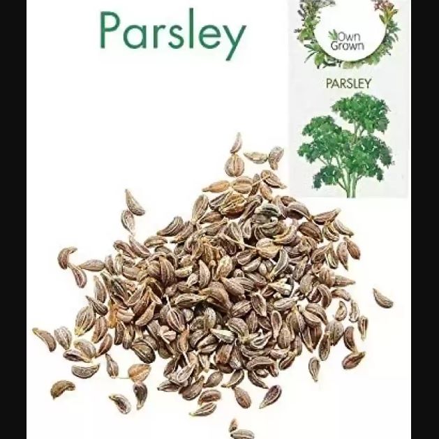 Parsley F1 Seeds