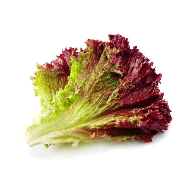 Lettuce Red Fire F-1 Seeds