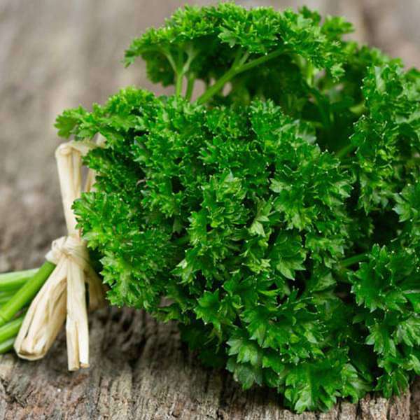 Parsley F1 Seeds