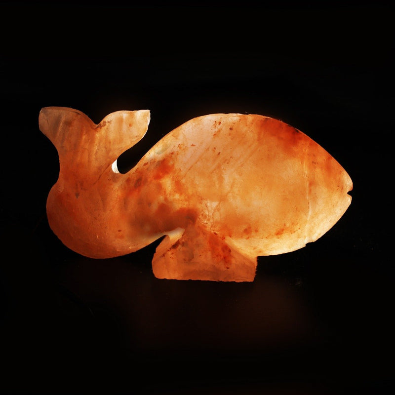 Fish - Table Salt Lamp - waseeh.com