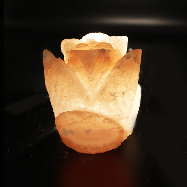 Flower - Table Salt Lamp - waseeh.com